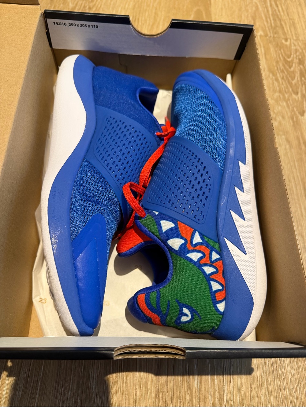 Jordan Air Jordan Grind 2 Florida Gators Low Top Sneaker AT8010-418 Blue